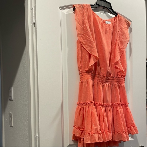 Misa Los Angeles Dress - Picture 6 of 11